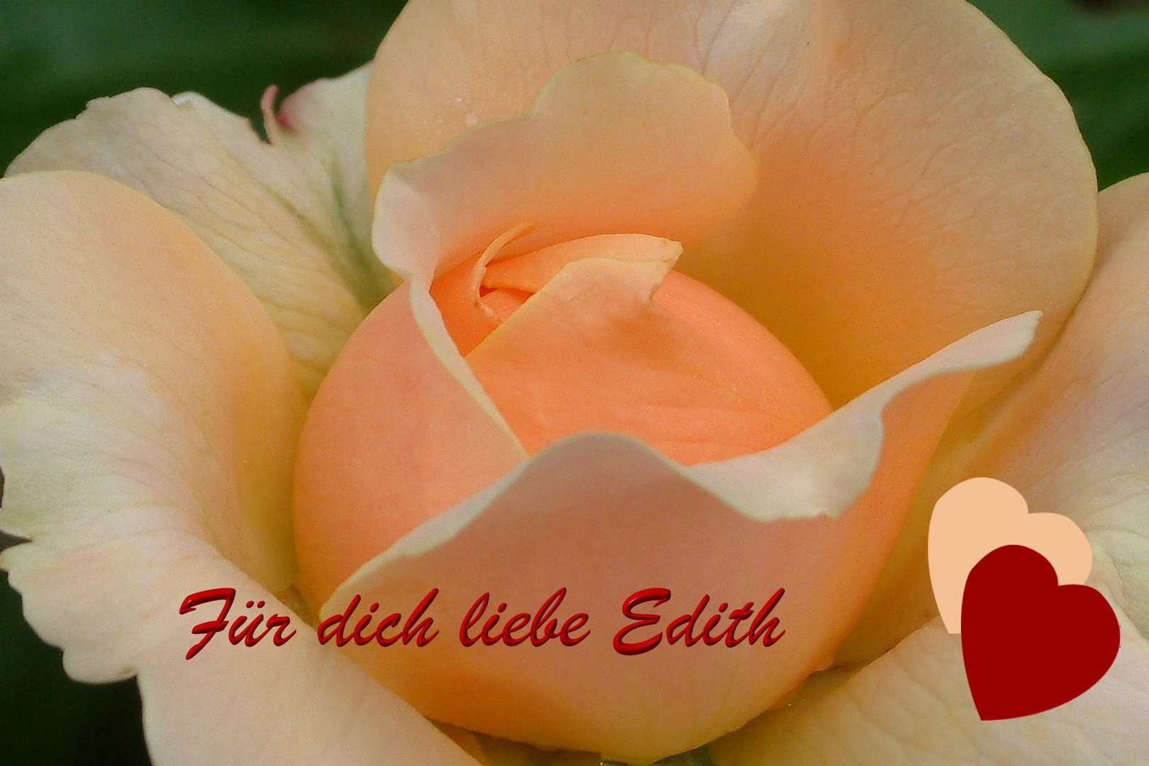 Für dich liebe Edith