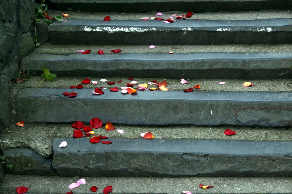 Für dich solls rote Rosen regnen...