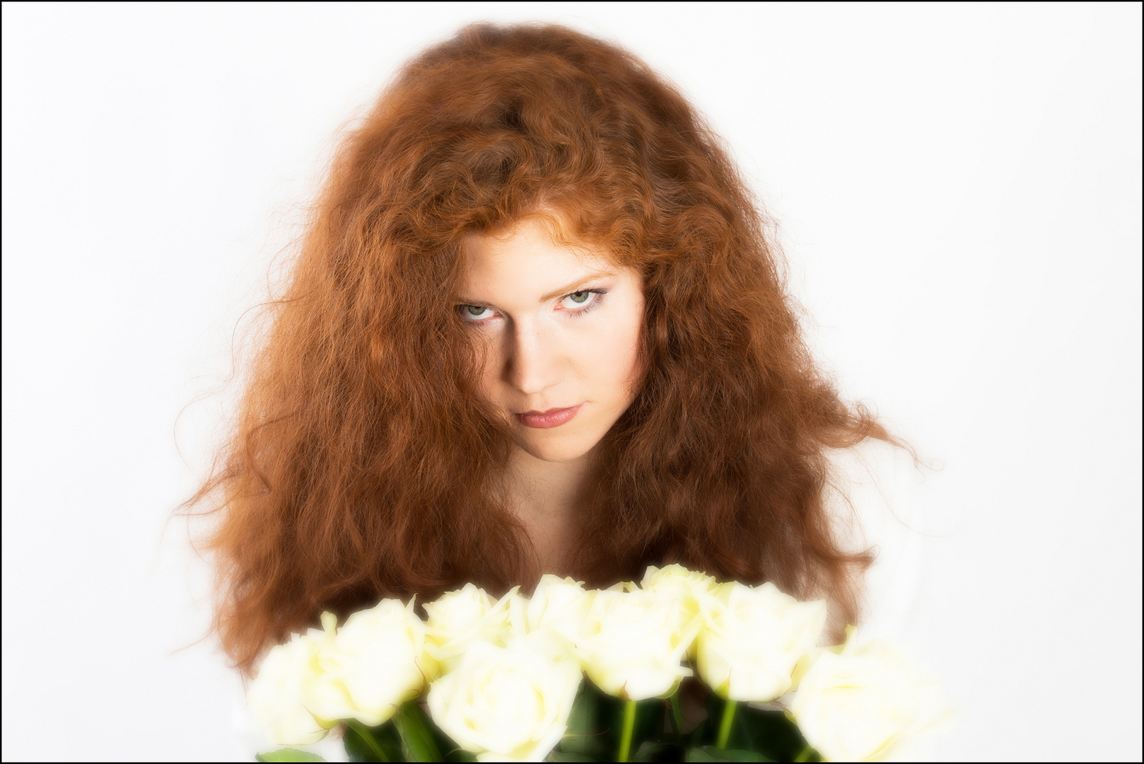 für dich soll*s weiße Rosen regnen