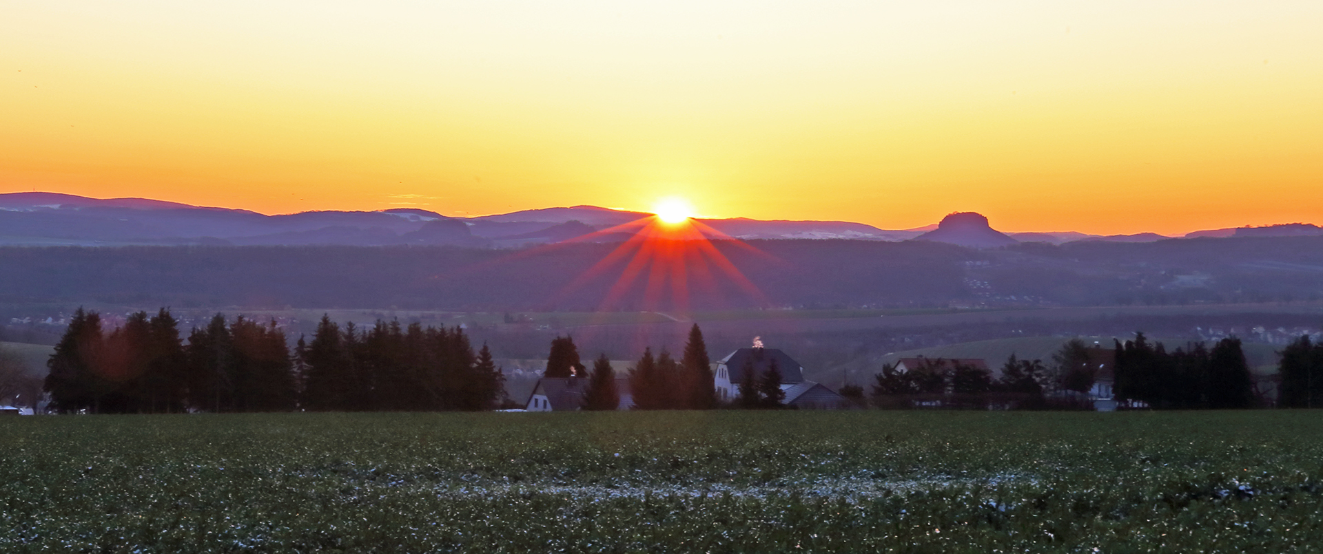 Für die 300m Höhenlage am Meusegaster Ziegenrücken in diesem Jahr....