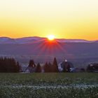 Für die 300m Höhenlage am Meusegaster Ziegenrücken in diesem Jahr....