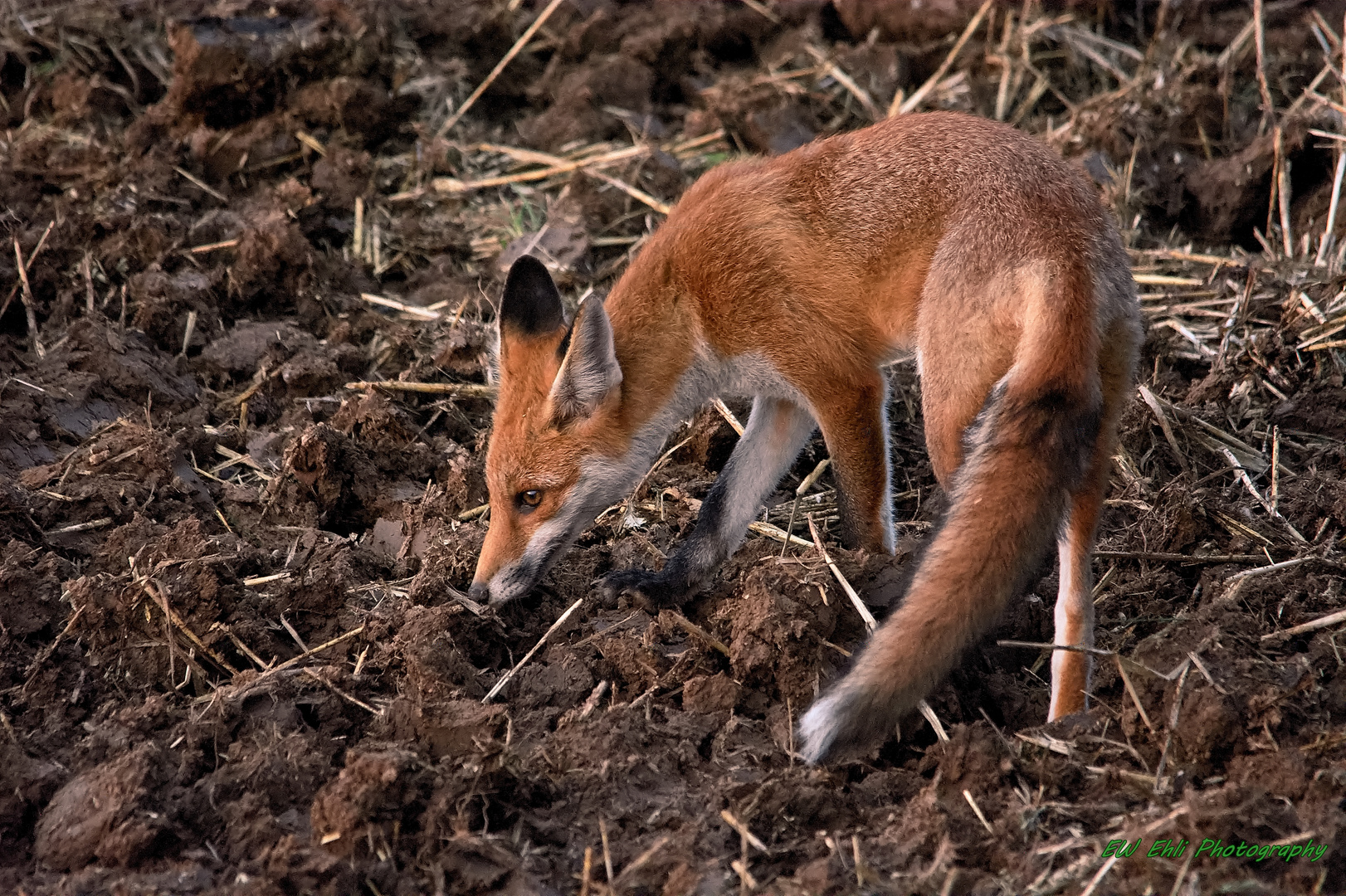 Für die Jagd benutzt....