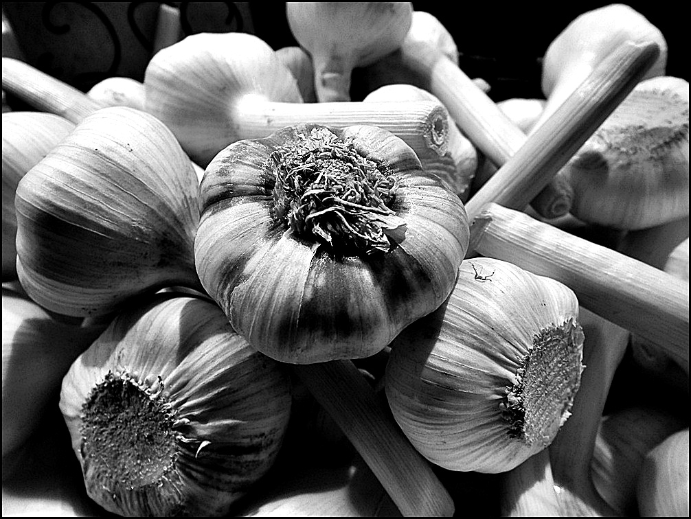 Für die Knoblauchsuppe