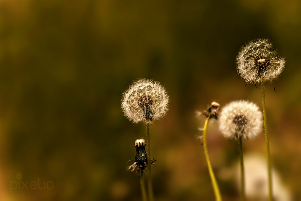 für die Reise bereit