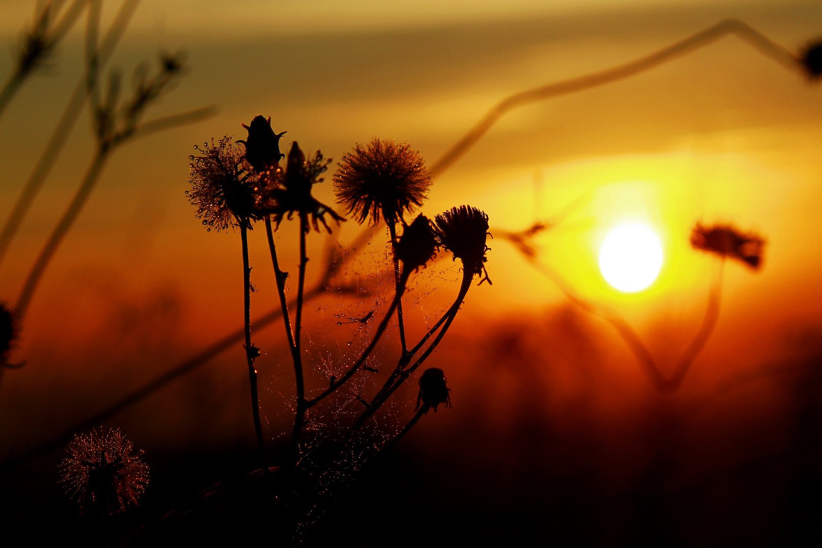 Für die Seele... Foto & Bild | sonnenuntergänge, himmel ...