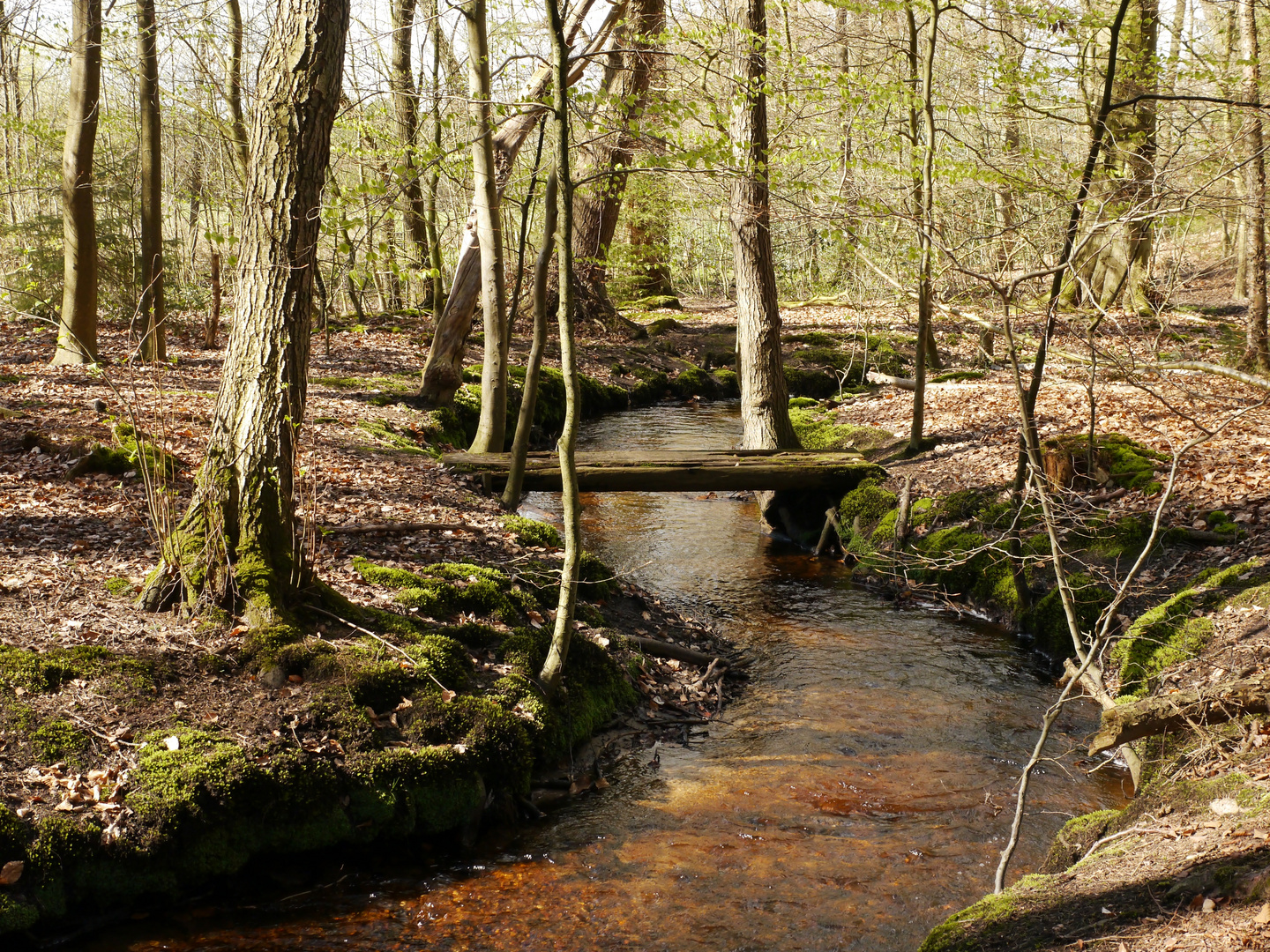 Für die Seele