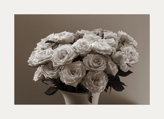 Für die stillen Tage im Nov.....