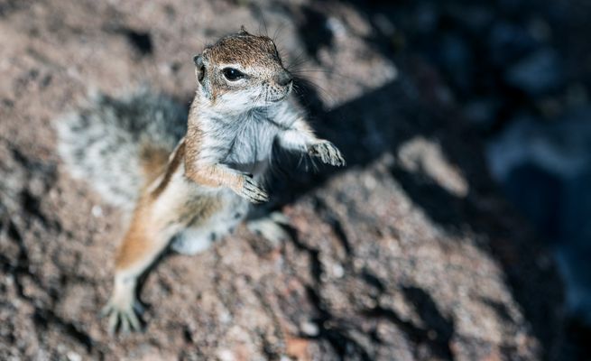 Für die verbliebenen Freunde