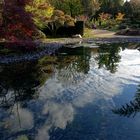 Für Dienstag ist Spiegeltag: Herbst ... 