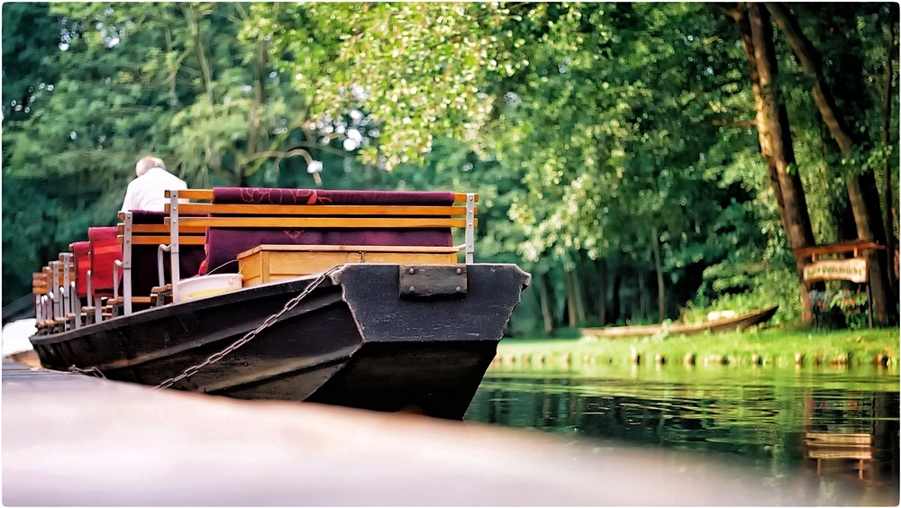 für diese Perspektive des Spreewald-Kahns musste ich schon niederknien