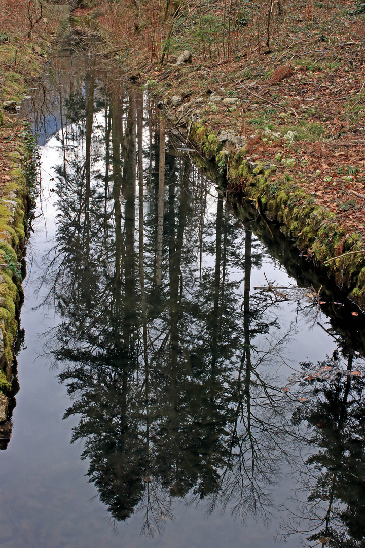 Für diese Spiegelung reichte der schmale Wassergraben