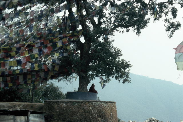 für DoRi in Nepal