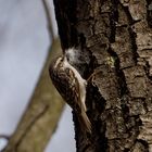 für ein kuscheliges Nest