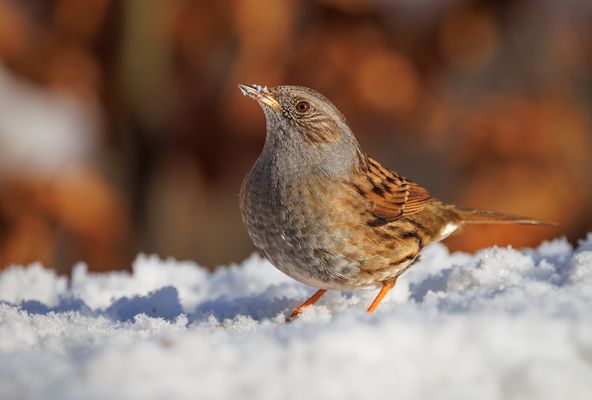 Für ein paar kühle Gedanken...