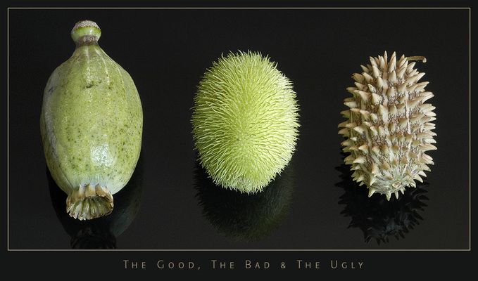 Für eine Hand voll Gemüse