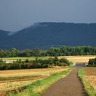 Für eine knappe halbe Minute