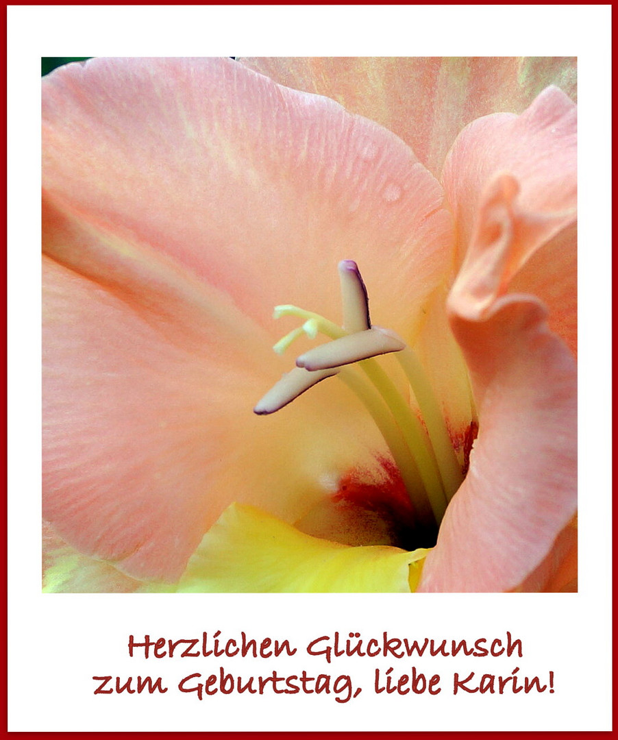 Fur Eine Liebe Freundin Foto Bild Pflanzen Pilze Flechten Bluten Kleinpflanzen Gratulation Und Feiertage Bilder Auf Fotocommunity