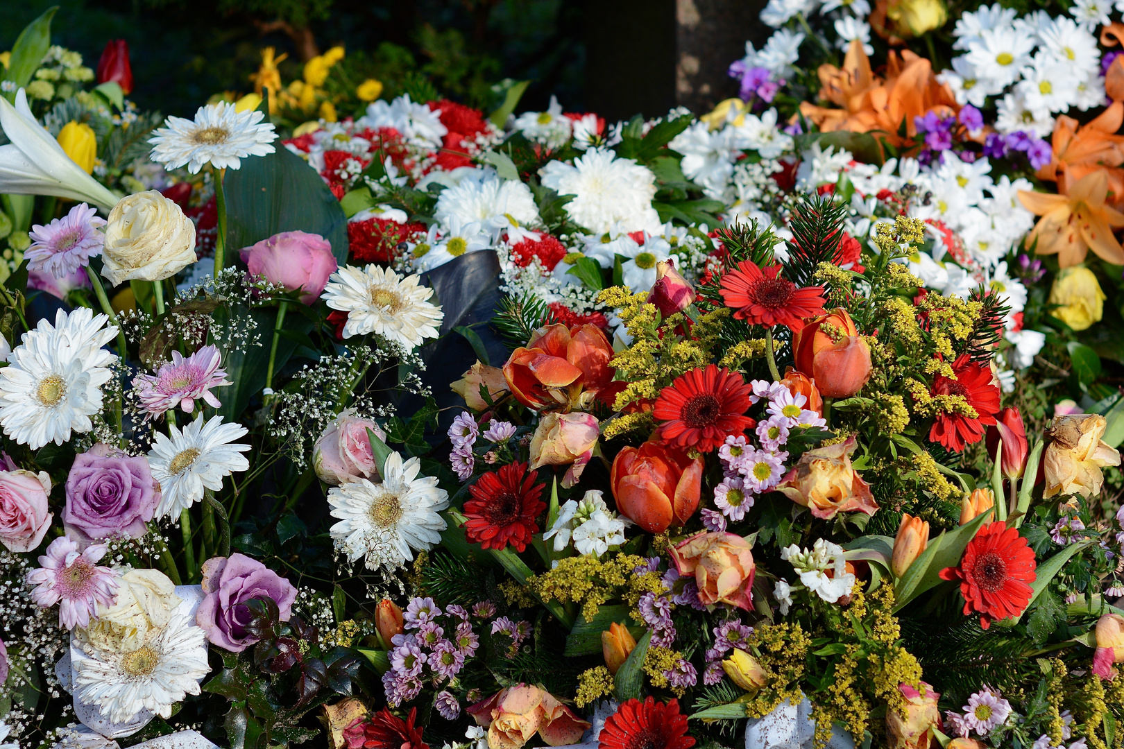 Für eine spezielle Blumenfreundin 3