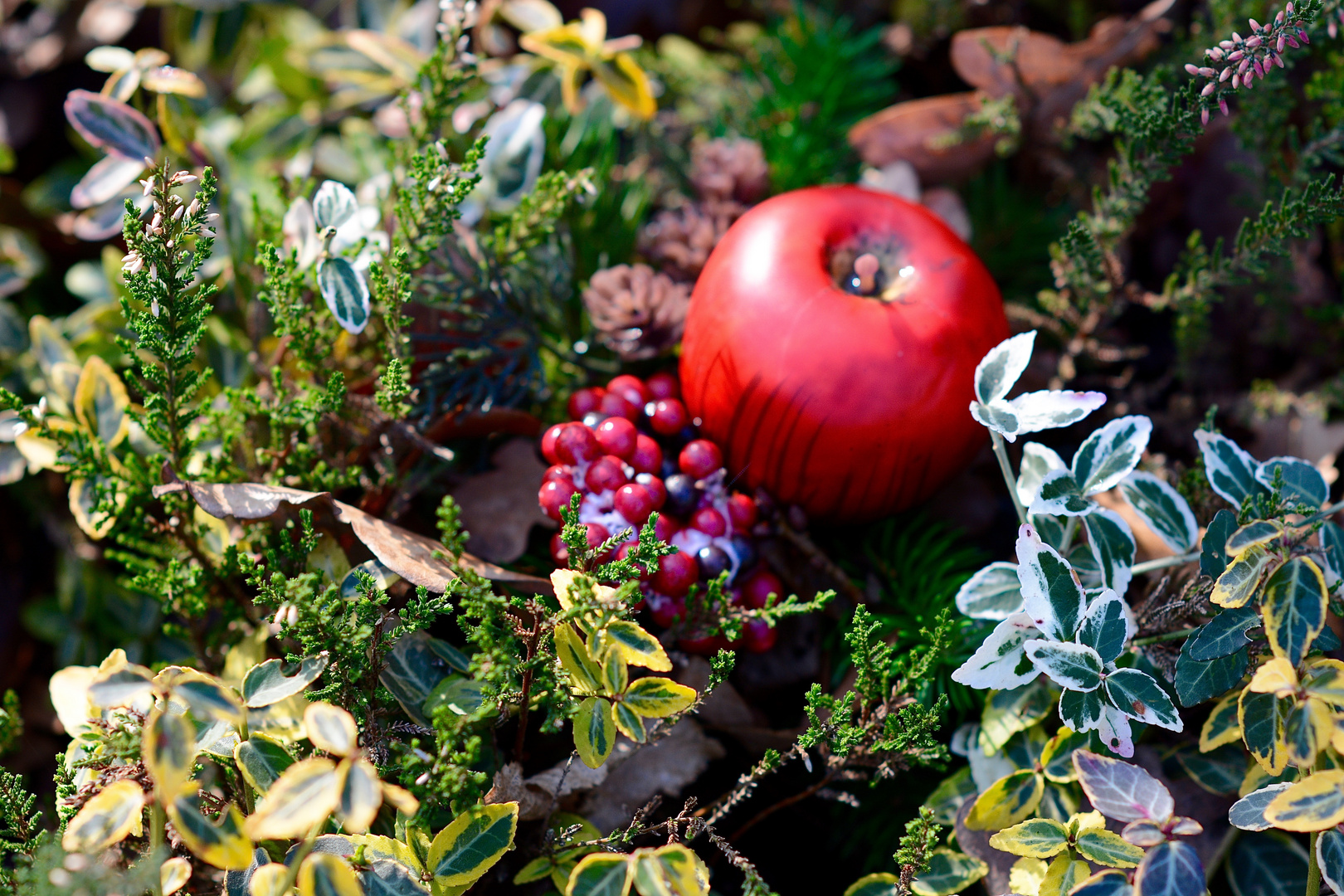 Für eine spezielle Blumenfreundin 4