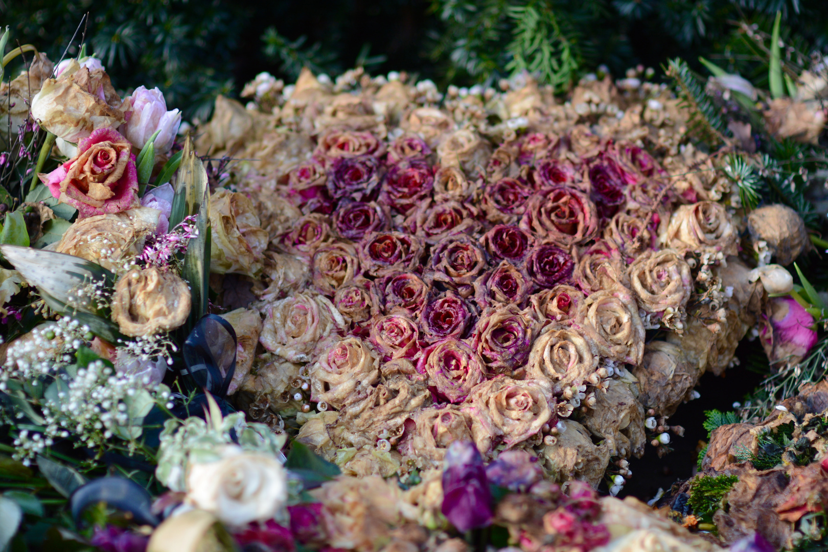 Für eine spezielle Blumenfreundin