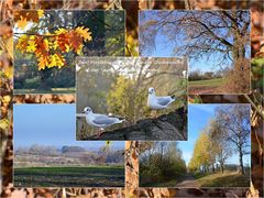 Für einen Herbstmenschen