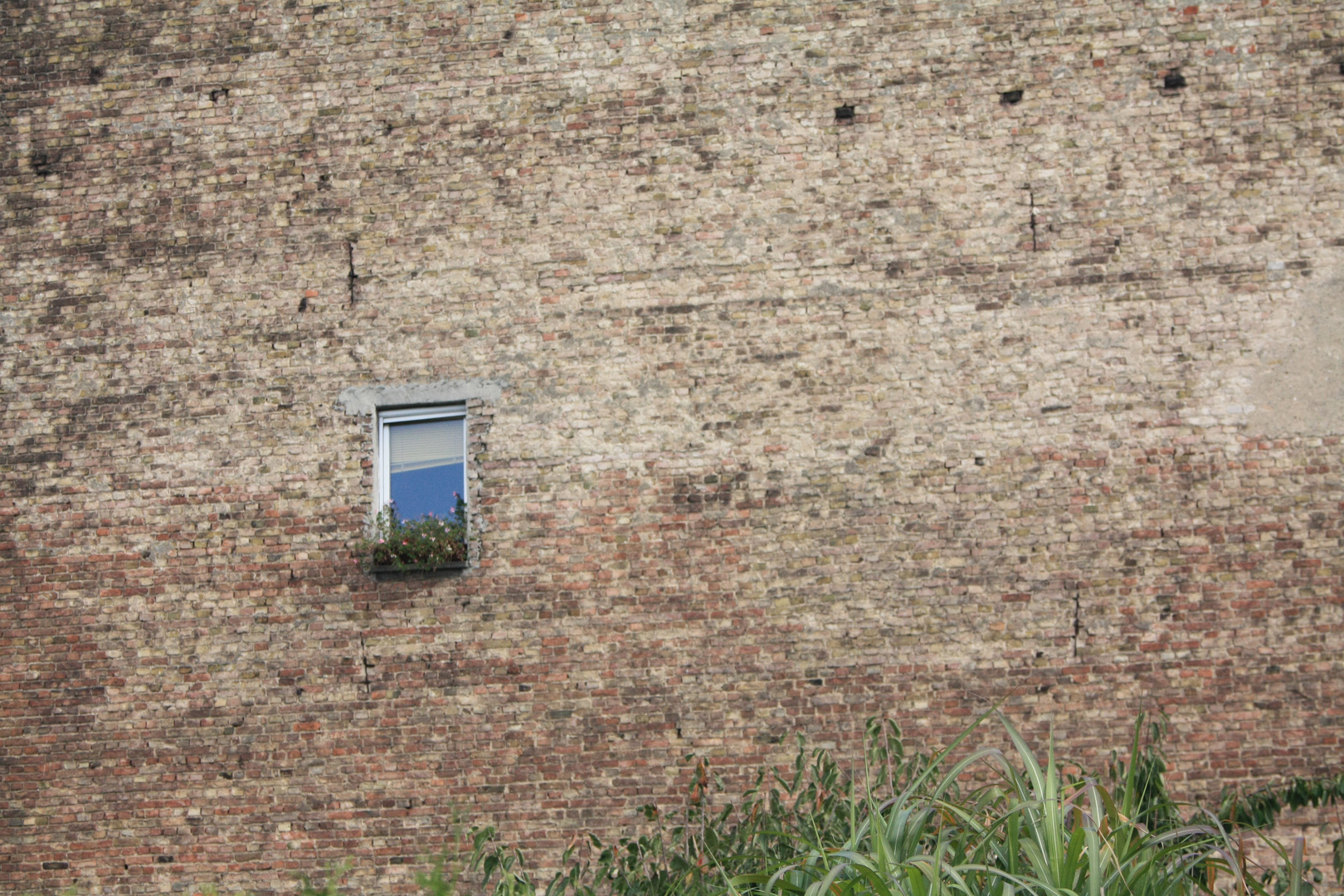 Für Grün is` in der kleinsten Hütte platz!!