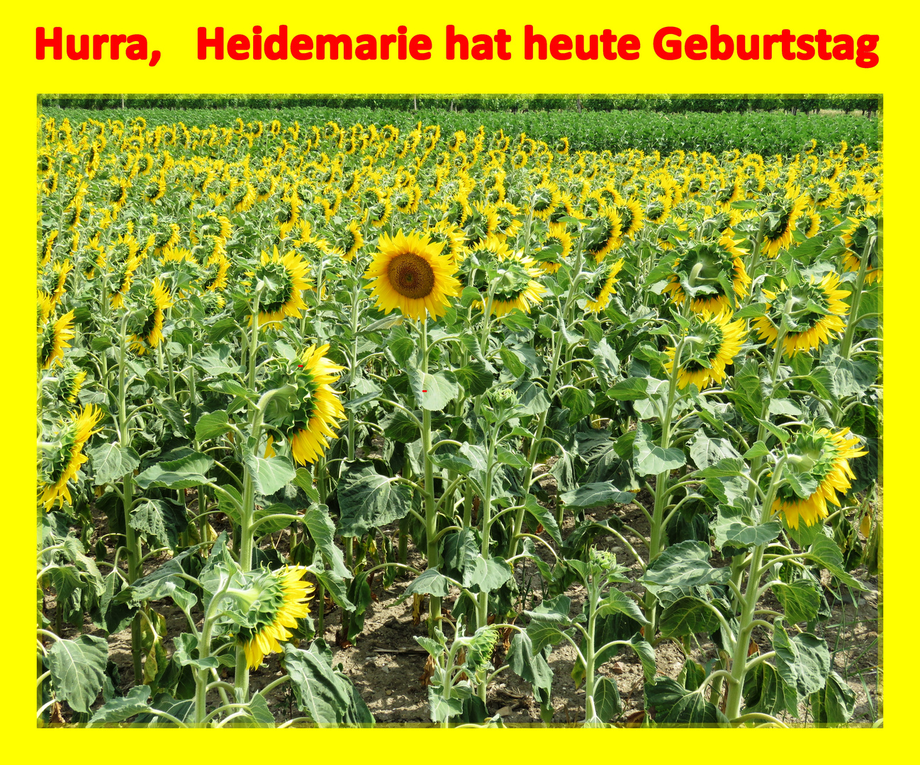 Für Heidemarie