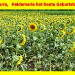 Für Heidemarie