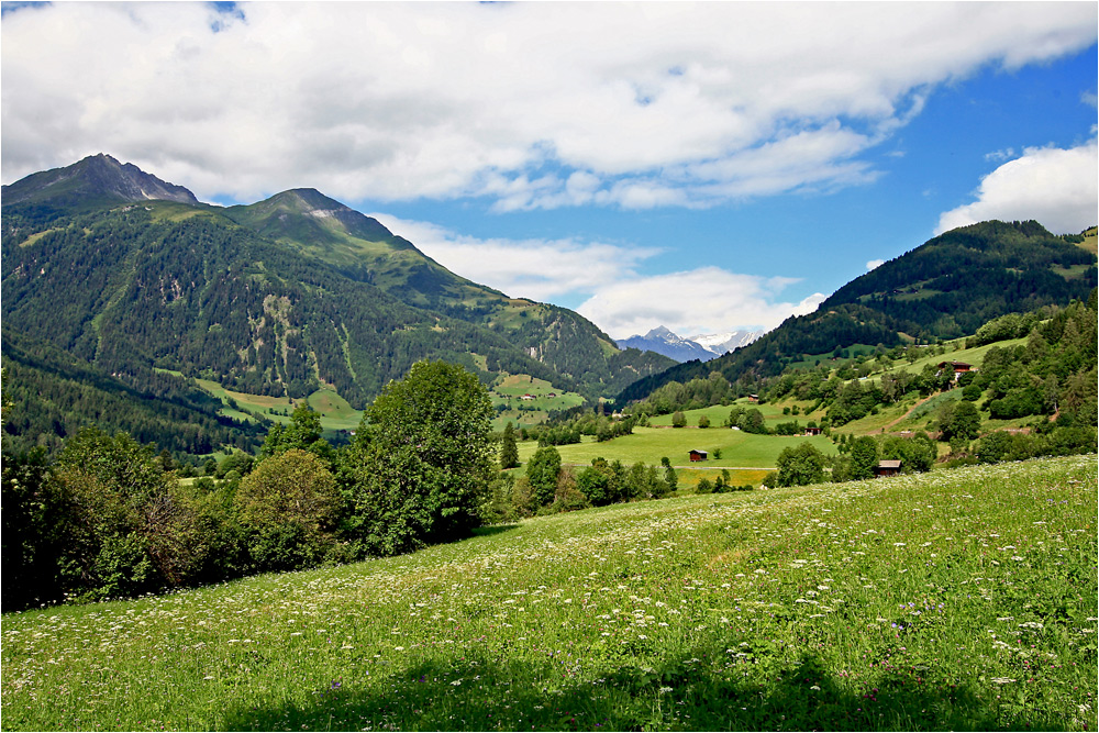 für heuer mein letzter Blick ins Virgental