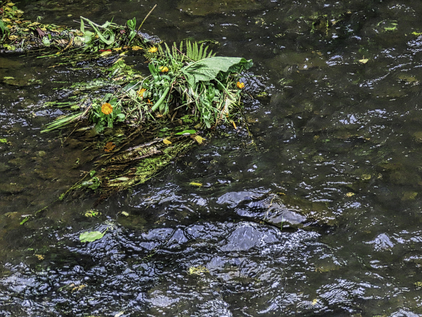 Für heute das Wasser