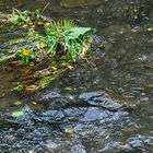 Für heute das Wasser