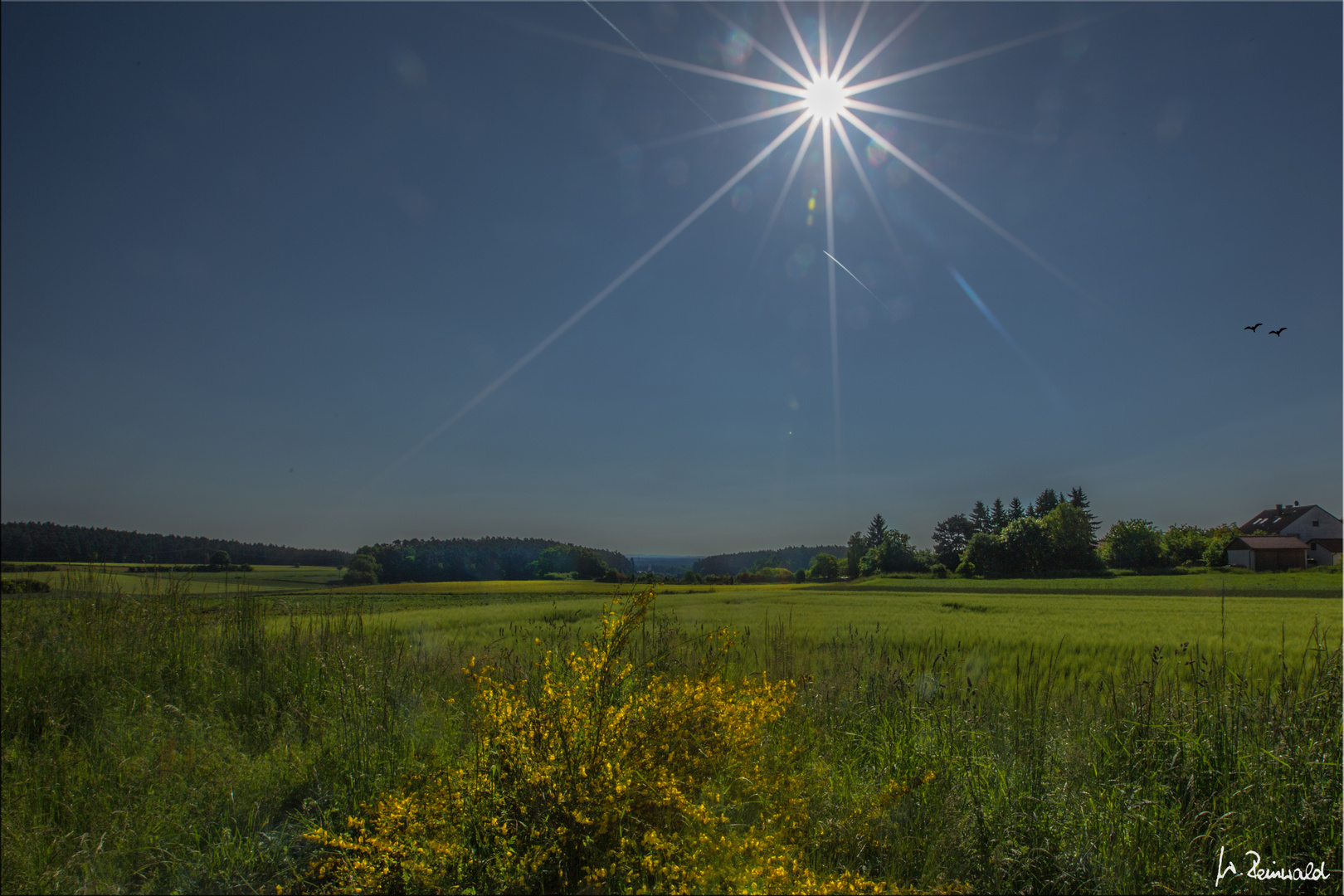 Für heute noch die Sonne festgehalten ..