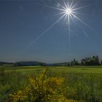 Für heute noch die Sonne festgehalten ..