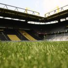 Für Immer Westfalenstadion