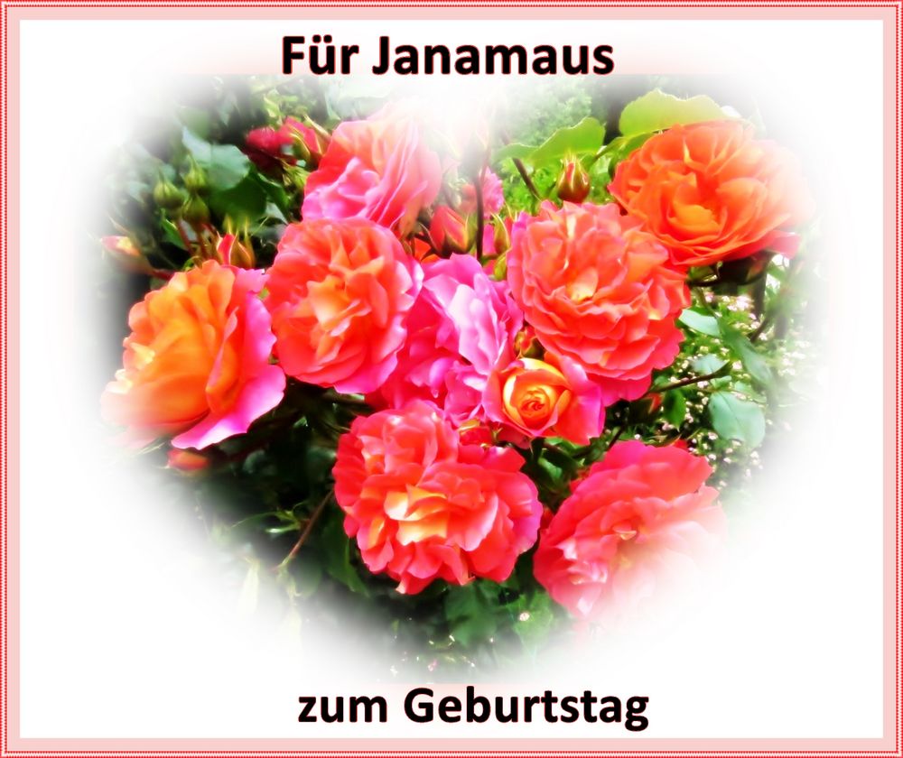 Für Janamaus