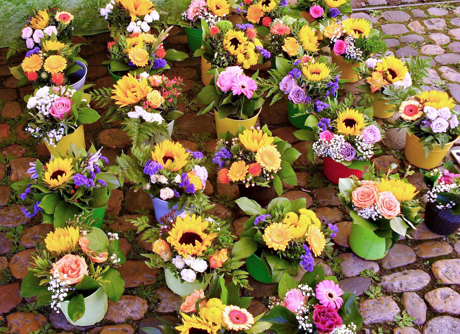 Für jeden der möchte ein Blümchen !