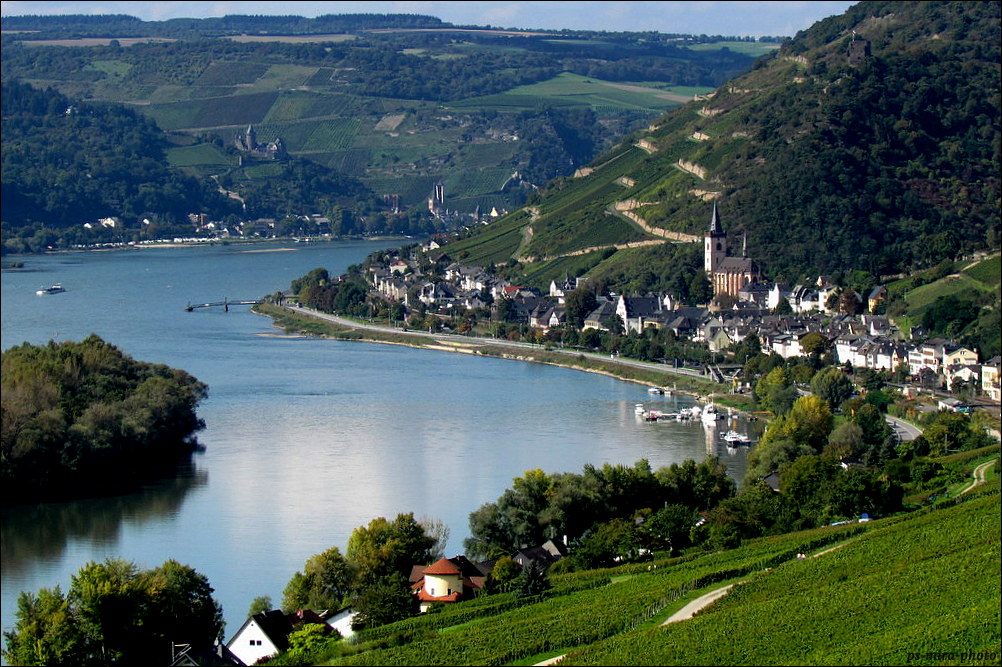 Für Jette: Im Rheingau ;-)