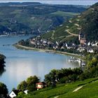 Für Jette: Im Rheingau ;-)