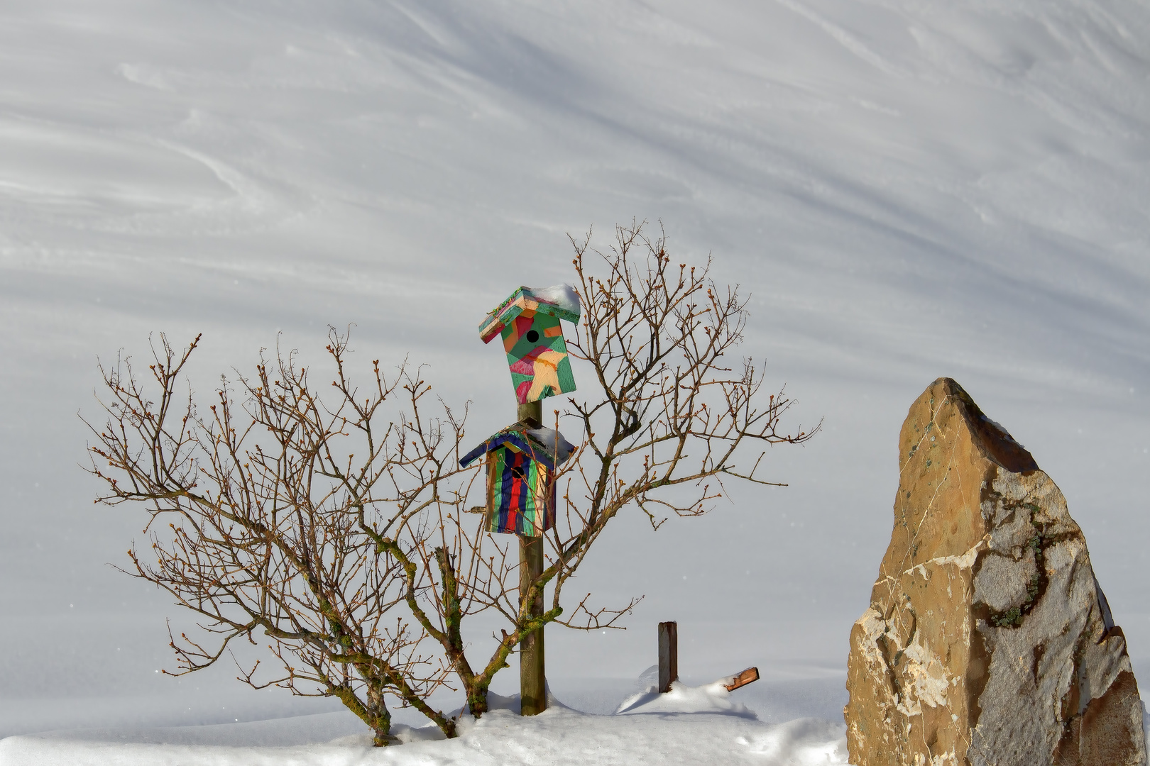 Für kleine Wintergäste