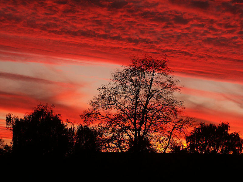 für kurze Zeit brannte der Himmel...