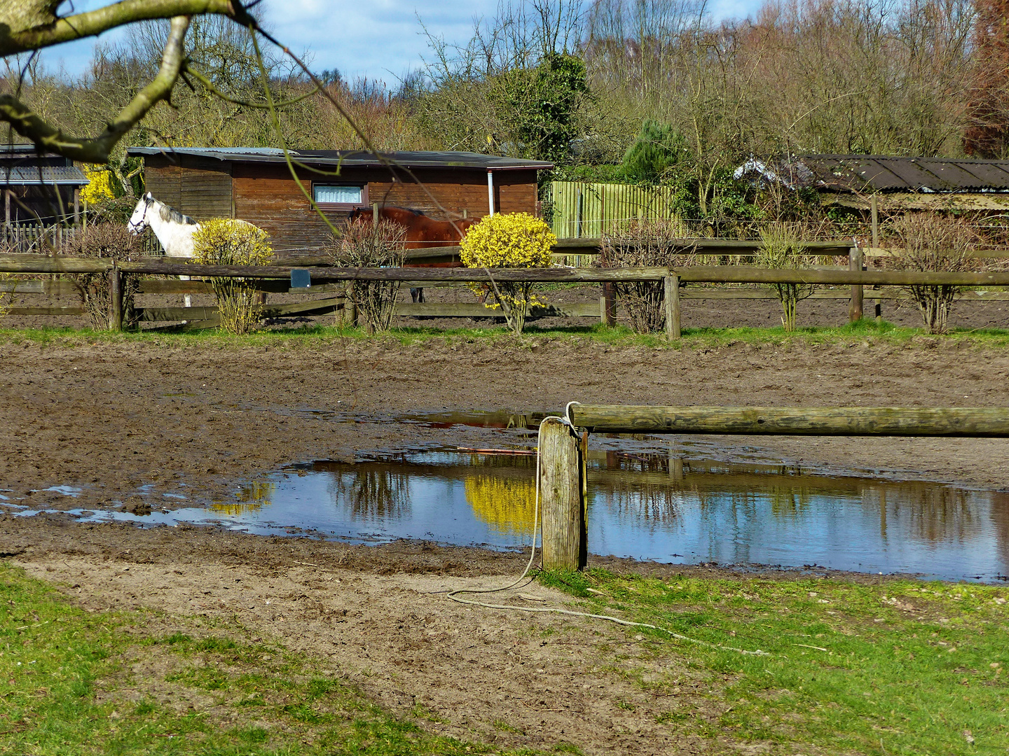 Für kurze Zeit schien die Sonne (  Spiegelung auf dem Pferdehof )