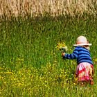 Für Mama pflücke ich einige Blumen ...