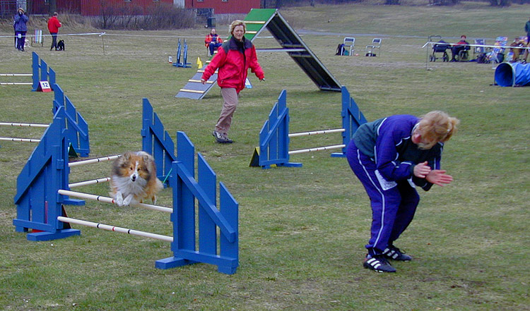 Für Marietta: Das ist Agility !