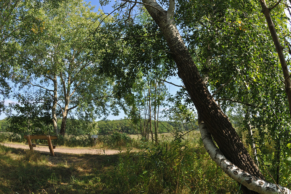 Für Mechthild, 1947 – 2013, Teil 01