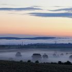 Für mich ein faszinierender Anblick am Ortsausgang von Köttewitz...