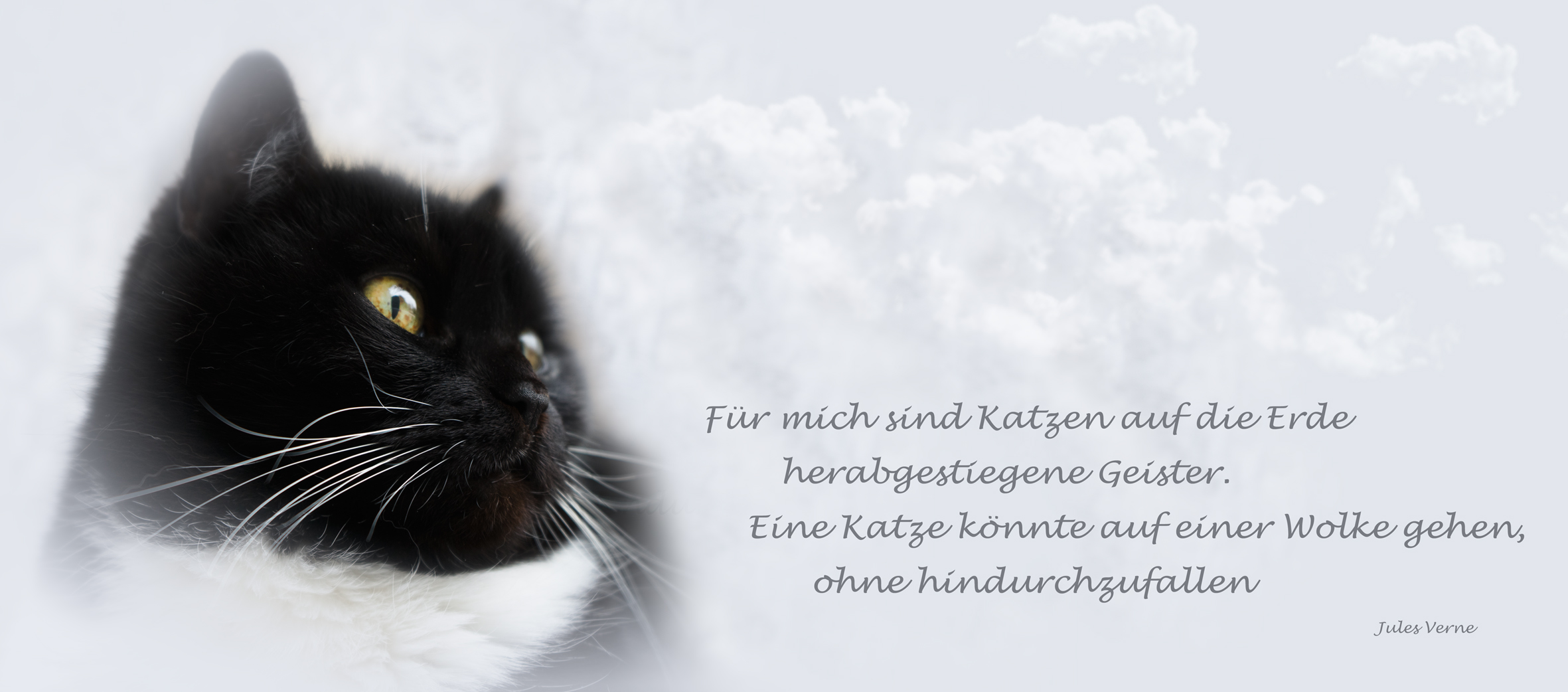 Für mich sind Katzen.................