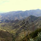 Für Monteverde: der Blick vom Köhlerpass (Cumbre de Carbonera) ...