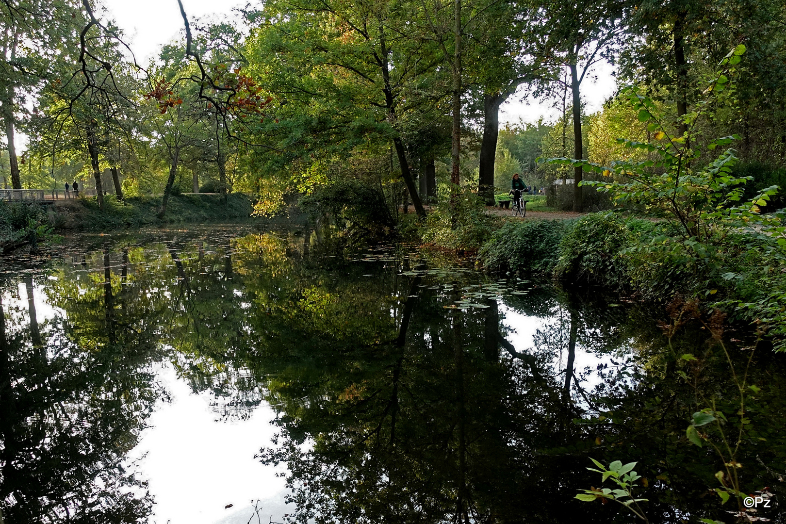 Für Morgen: Dienstag ist Spiegeltag: Auch im Park von Schloss Rheydt ...