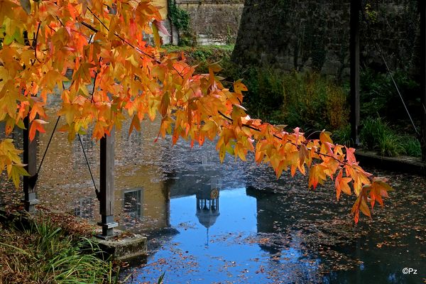 Für Morgen: Dienstag ist Spiegeltag: Herbstidylle ...