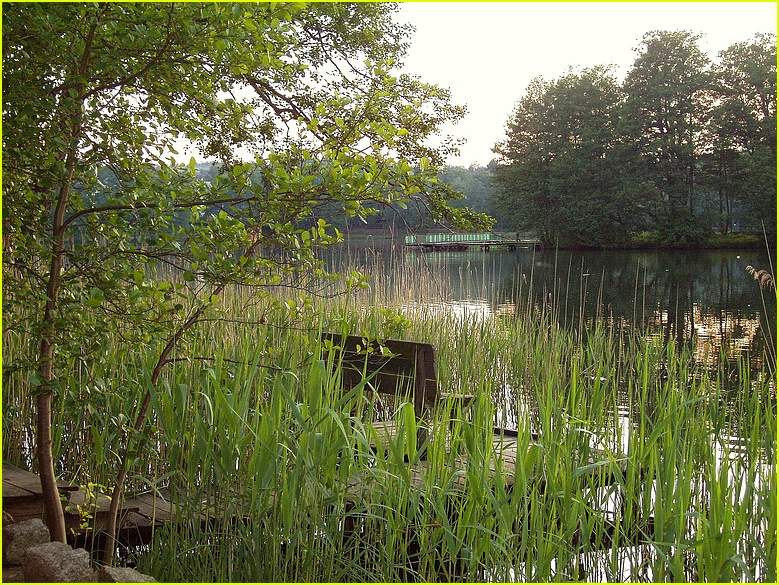 Für Mücken und Angler